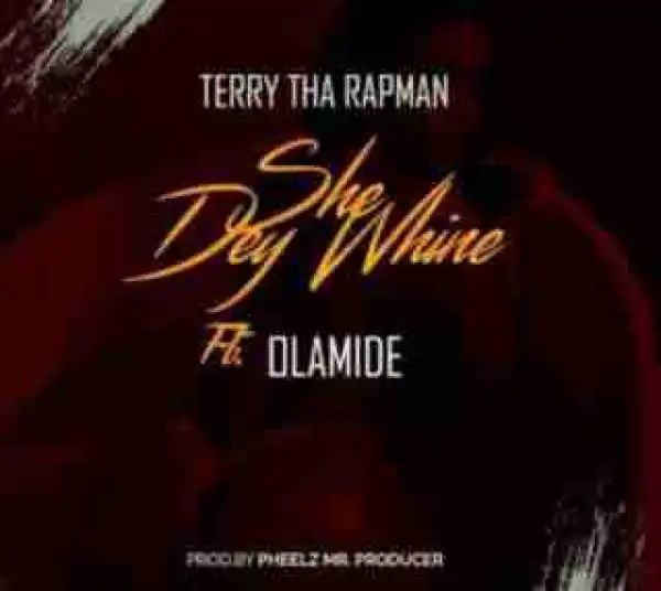Terry Tha Rapman - Obi (She Dey Whine) ft. Olamide